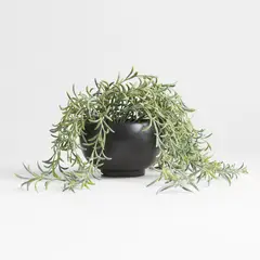 CRATE & BARREL - Anzuelos Artificial Verde En Maceta Negra