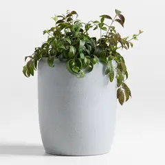 CRATE & BARREL - Maceta Belize 41cm