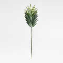 CRATE & BARREL - Rama Palma Verde 168cm