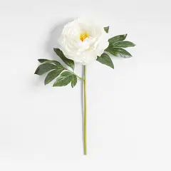 CRATE & BARREL - Rama Flor Peony By Abigail Ahern 61cm