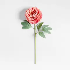 CRATE & BARREL - Rama Flor Peony By Abigail Ahern 61cm