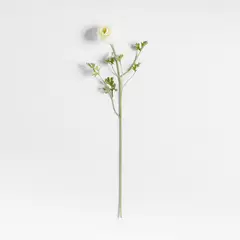 CRATE & BARREL - Rama Flor Ranunculus By Abigail Ahern 89cm