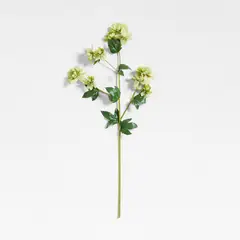 CRATE & BARREL - Rama Flor Rose By Abigail Ahern 91cm