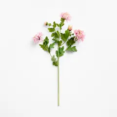 CRATE & BARREL - Rama Flor Crisantemo Lilac 79cm