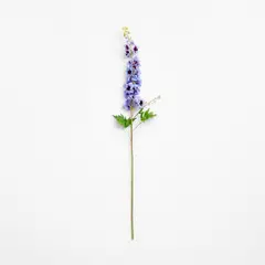 CRATE & BARREL - Rama Flor Delfinio Morado 108cm