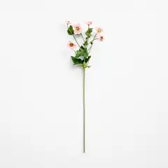 CRATE & BARREL - Rama Flor Anémona Japonesa Rosa 112cm