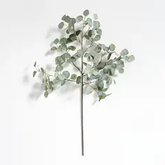 CRATE & BARREL - Rama Flor Eucalipto 117cm