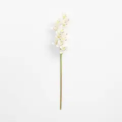 CRATE & BARREL - Rama Flor Orquídea Blanca 104cm
