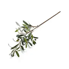 CRATE & BARREL - Rama Flor Oliva 91cm