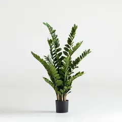CRATE & BARREL - Planta ZZ Artificial con Base