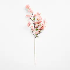 CRATE & BARREL - Rama Flor Cerezo 127cm