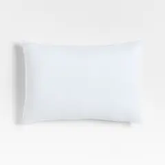 CRATE & BARREL - Relleno De Almohada 38x56cm