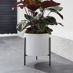 CRATE & BARREL - Maceta Dundee con Soporte 39x41cm