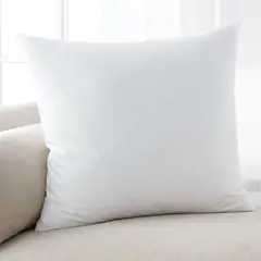 CRATE & BARREL - Relleno de cojín de plumas 58.4cm