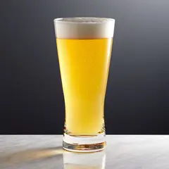 CRATE & BARREL - Vaso para Cerveza Portland de 651ml