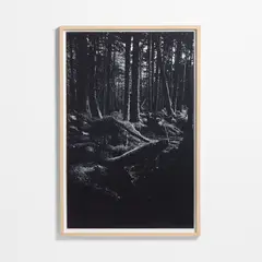 CRATE & BARREL - Cuadro "the Great Bear Rainforest" By Jennifer Maharry 102x152cm