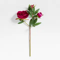 CRATE & BARREL - Rama Flor Peonía Fucsia 51cm