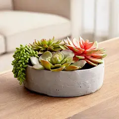 CRATE & BARREL - Suculentas Artificiales En Maceta Redonda Baja