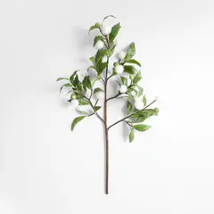 CRATE & BARREL - Rama Flor Arbusto 76cm