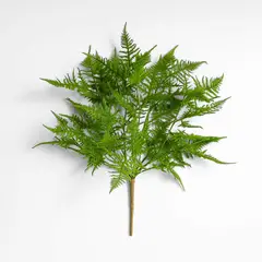 CRATE & BARREL - Rama Flor Hoja de Helecho 55cm