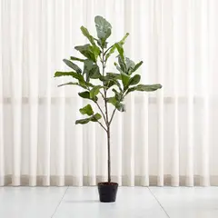 CRATE & BARREL - Planta Artificila Higuera De Hoja De Violín
