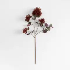 CRATE & BARREL - Ramo Flor Decorativa Smokebush 112cm