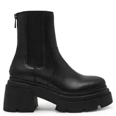 STEVE MADDEN - Botas Mujer
