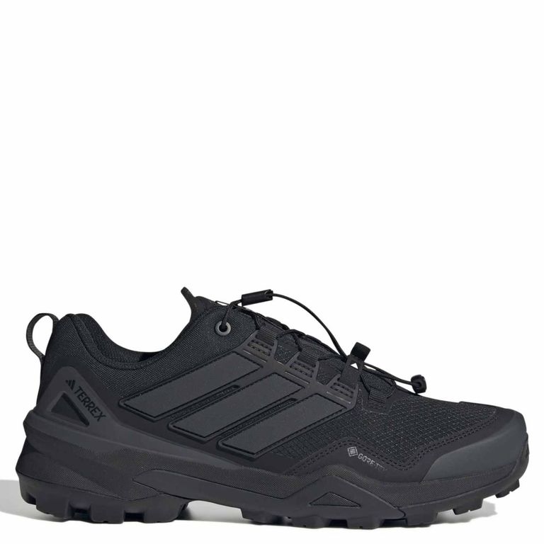 Zapatillas Trekking Hombre Terrex Skychaser Gtx