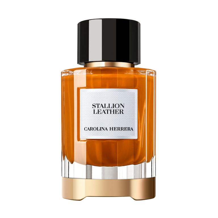 Confidential Stallion Leather Edp 100Ml