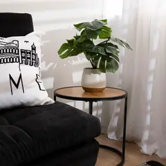 MICA - Planta Artificial Monstera Pot Blanco 60x15cm