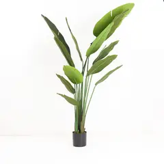 MICA - Planta Artificial Del Viajero 208cm