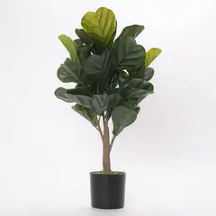 MICA - Planta Artificial Ficus Lirata 66cm