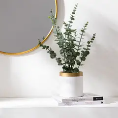 MICA - Eucalipto 55cm