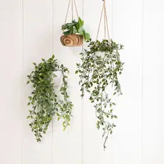 MICA - Planta Colgante Helecho 10x10x7CM