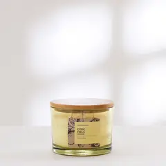 ROBERTA ALLEN - Vela Con Aroma Cítrico