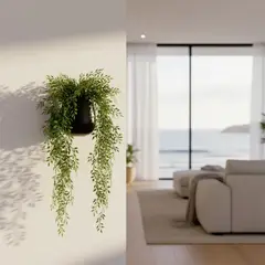 MICA - Syzygium Colgante 56cm