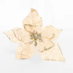 MICA - Poinsettia Champagne 23Cm