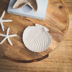 BASEMENT HOME - Conchita Blanca 26cm