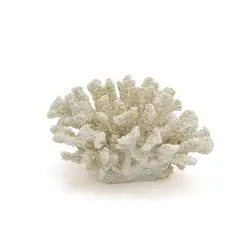 BASEMENT HOME - Coral Blanco 19x16x10cm