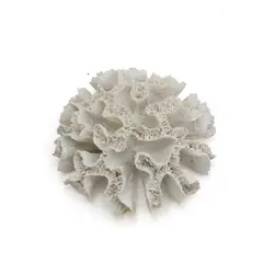 BASEMENT HOME - Coral Blanco 16x18x9cm