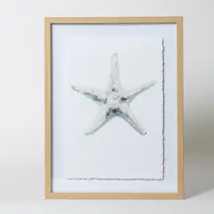 MICA - Cuadro Playa Estrella Marina 32x42cm