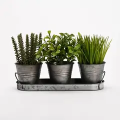 MICA - Set X 3 Plantas En Maceta Bandeja 36x19cm