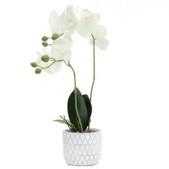 MICA - Orquídea Blanca 47cm