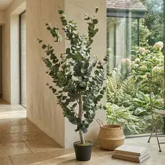 MICA - Planta Grande Eucalipto 120cm