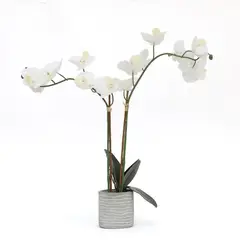 MICA - Orquídea Blanca 52cm