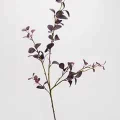 MICA - Rama Decorativa De Eucalipto Morado 96cm