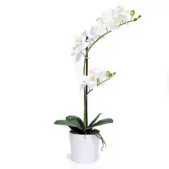 MICA - Orquídea Blanca 51cm