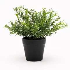 MICA - Planta Con Maceta Negra 16x25cm