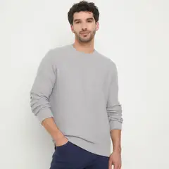 NEWPORT - Chompa 100% Algodón Hombre