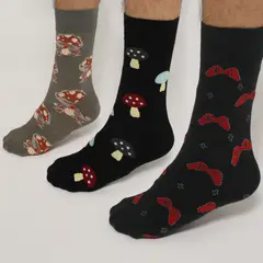 BEARCLIFF - PACK X3 MEDIAS